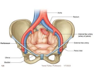 1/7/2023
Yared T(Ass. Professor)
126
 