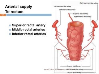 127
Arterial supply
To rectum
 Superior rectal artery
 Middle rectal arteries
 Inferior rectal arteries
1/7/2023
Yared T(Ass. Professor)
 
