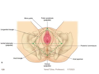 1/7/2023
Yared T(Ass. Professor)
129
 