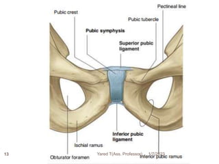 1/7/2023
Yared T(Ass. Professor)
13
 