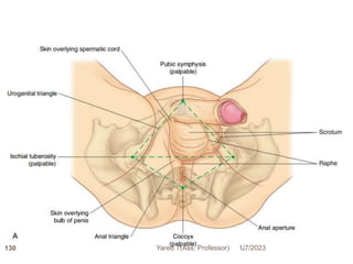 1/7/2023
Yared T(Ass. Professor)
130
 