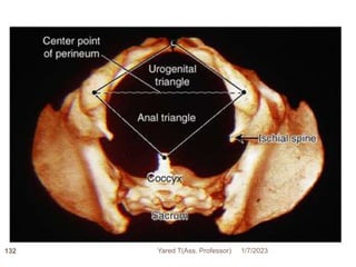 132 1/7/2023
Yared T(Ass. Professor)
 
