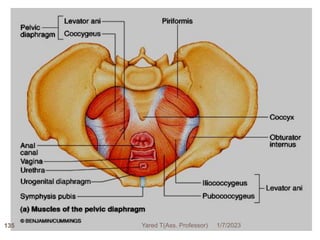1/7/2023
Yared T(Ass. Professor)
135
 