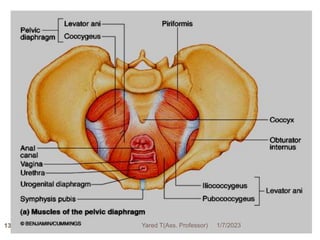 137 1/7/2023
Yared T(Ass. Professor)
 