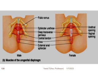 139 1/7/2023
Yared T(Ass. Professor)
 