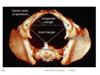 142 1/7/2023
Yared T(Ass. Professor)
 