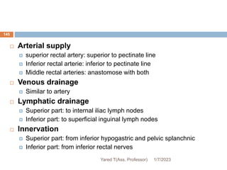 145
 Arterial supply
 superior rectal artery: superior to pectinate line
 Inferior rectal arterie: inferior to pectinate line
 Middle rectal arteries: anastomose with both
 Venous drainage
 Similar to artery
 Lymphatic drainage
 Superior part: to internal iliac lymph nodes
 Inferior part: to superficial inguinal lymph nodes
 Innervation
 Superior part: from inferior hypogastric and pelvic splanchnic
 Inferior part: from inferior rectal nerves
1/7/2023
Yared T(Ass. Professor)
 