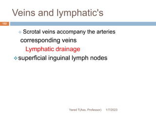 Veins and lymphatic's
 Scrotal veins accompany the arteries
corresponding veins
Lymphatic drainage
superficial inguinal lymph nodes
1/7/2023
Yared T(Ass. Professor)
152
 