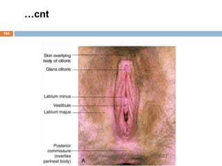164
…cnt
1/7/2023
Yared T(Ass. Professor)
 