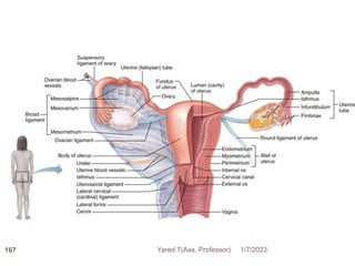 1/7/2023
Yared T(Ass. Professor)
167
 