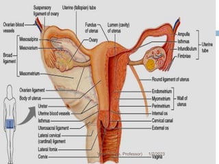 168
1/7/2023
Yared T(Ass. Professor)
 