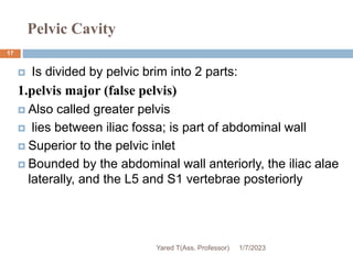 Pelvic Cavity
 Is divided by pelvic brim into 2 parts:
1.pelvis major (false pelvis)
 Also called greater pelvis
 lies between iliac fossa; is part of abdominal wall
 Superior to the pelvic inlet
 Bounded by the abdominal wall anteriorly, the iliac alae
laterally, and the L5 and S1 vertebrae posteriorly
1/7/2023
Yared T(Ass. Professor)
17
 