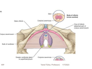 177 1/7/2023
Yared T(Ass. Professor)
 