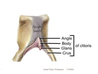 178 1/7/2023
Yared T(Ass. Professor)
 