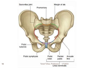 1/7/2023
Yared T(Ass. Professor)
18
 