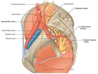 183 1/7/2023
Yared T(Ass. Professor)
 