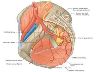 188 1/7/2023
Yared T(Ass. Professor)
 