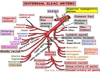 189 1/7/2023
Yared T(Ass. Professor)
 