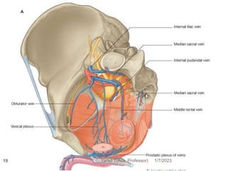 194 1/7/2023
Yared T(Ass. Professor)
 