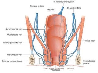 195 1/7/2023
Yared T(Ass. Professor)
 