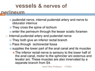 vessels & nerves of
perineum
196
 pudendal nerve, internal pudendal artery and nerve to
obturator internus
 They cross the spine of ischium
 enter the perineum through the lesser sciatic foramen
 Internal pudendal artery and pudendal nerve
 They both give an inferior rectal branch
 Pass through ischiorectal fossa
 supplies the lower part of the anal canal and its muscles
 The inferior rectal nerve is sensory to the lower half of
the anal canal, motor to the sphincter ani externus and
levator ani. These muscles are also innervated by a
separate branch from S4.
1/7/2023
Yared T(Ass. Professor)
 