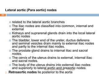 200
Lateral aortic (Para aortic) nodes
 related to the lateral aortic branches
 The iliac nodes are classified into common, internal and
external
 Kidneys and suprarenal glands drain into the local lateral
aortic nodes
 The bladder, lower end of the ureter, ductus deferens
and seminal vesicles drain mainly to external iliac nodes
and partly to the internal iliac nodes.
 The prostate gland drains to internal iliac and sacral
nodes.
 The cervix of the uterus drains to external, internal iliac
and sacral nodes.
 The body of the uterus drains into external iliac nodes
and superiorly to lateral aortic and preaortic nodes.
 Retroaortic nodes lie posterior to the aorta
1/7/2023
Yared T(Ass. Professor)
 