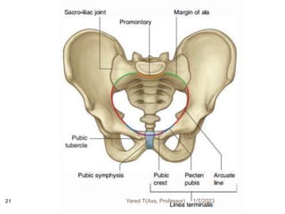 1/7/2023
Yared T(Ass. Professor)
21
 