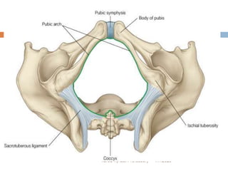 1/7/2023
Yared T(Ass. Professor)
23
 