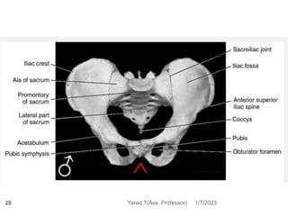 28 1/7/2023
Yared T(Ass. Professor)
 