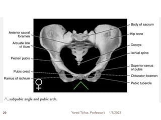 29 1/7/2023
Yared T(Ass. Professor)
 