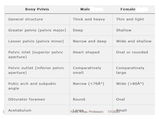 30 1/7/2023
Yared T(Ass. Professor)
 