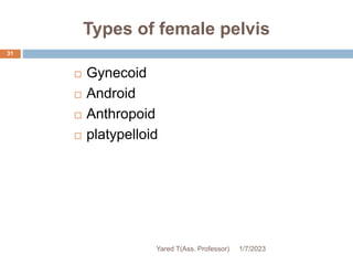 Types of female pelvis
 Gynecoid
 Android
 Anthropoid
 platypelloid
1/7/2023
Yared T(Ass. Professor)
31
 