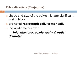 Pelvic diameters (Conjugates)
 shape and size of the pelvic inlet are significant
during labor
 are noted radiographically or manually
 pelvic diameters are :
-Inlet diameter, pelvic cavity & outlet
diameter
1/7/2023
Yared T(Ass. Professor)
33
 