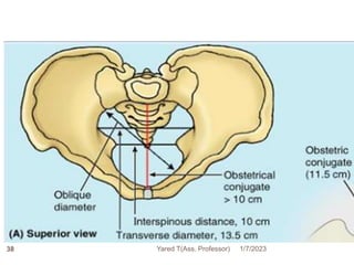 1/7/2023
Yared T(Ass. Professor)
38
 