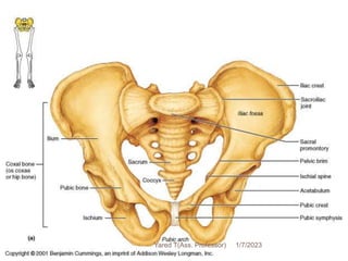 4 1/7/2023
Yared T(Ass. Professor)
 