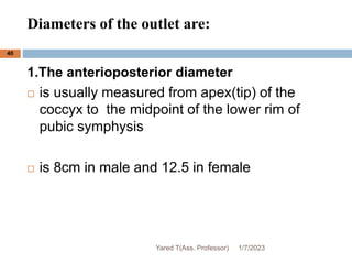 Diameters of the outlet are:
40
1.The anterioposterior diameter
 is usually measured from apex(tip) of the
coccyx to the midpoint of the lower rim of
pubic symphysis
 is 8cm in male and 12.5 in female
1/7/2023
Yared T(Ass. Professor)
 