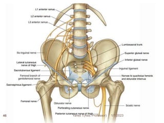 1/7/2023
Yared T(Ass. Professor)
46
 