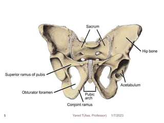 5 1/7/2023
Yared T(Ass. Professor)
 
