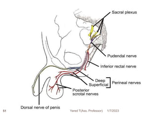 51 1/7/2023
Yared T(Ass. Professor)
 