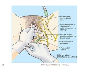 1/7/2023
Yared T(Ass. Professor)
52
 