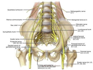 55 1/7/2023
Yared T(Ass. Professor)
 