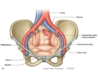 1/7/2023
Yared T(Ass. Professor)
59
 