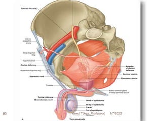 1/7/2023
Yared T(Ass. Professor)
83
 