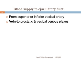 Blood supply to ejaculatory duct
 From superior or inferior vesical artery
 Vein-to prostatic & vesical venous plexus
1/7/2023
Yared T(Ass. Professor)
87
 