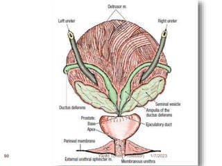 1/7/2023
Yared T(Ass. Professor)
90
 