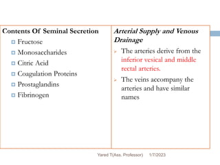 Contents Of Seminal Secretion
 Fructose
 Monosaccharides
 Citric Acid
 Coagulation Proteins
 Prostaglandins
 Fibrinogen
Arterial Supply and Venous
Drainage
 The arteries derive from the
inferior vesical and middle
rectal arteries.
 The veins accompany the
arteries and have similar
names
1/7/2023
Yared T(Ass. Professor)
91
 
