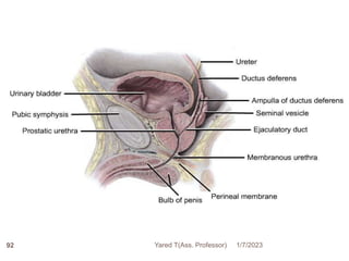 92 1/7/2023
Yared T(Ass. Professor)
 