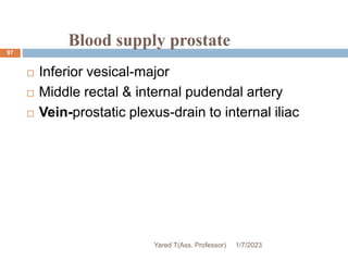 Blood supply prostate
 Inferior vesical-major
 Middle rectal & internal pudendal artery
 Vein-prostatic plexus-drain to internal iliac
1/7/2023
Yared T(Ass. Professor)
97
 