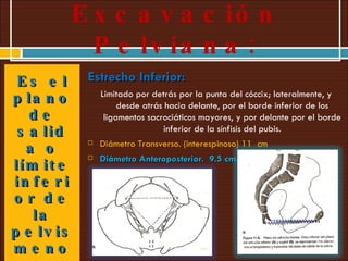 Excavación Pelviana: Es el plano de salida o límite inferior de la pelvis menor. Estrecho Inferior:  Limitado por detrás por la punta del cóccix; lateralmente, y desde atrás hacia delante, por el borde inferior de los ligamentos sacrociáticos mayores, y por delante por el borde inferior de la sínfisis del pubis. Diámetro Transverso. (interespinoso) 11  cm Diámetro Anteroposterior.  9.5 cm. 