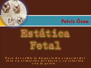 Pelvis Ósea Para describir la disposición espacial del feto en el interior del útero y su relación con la pelvis.  